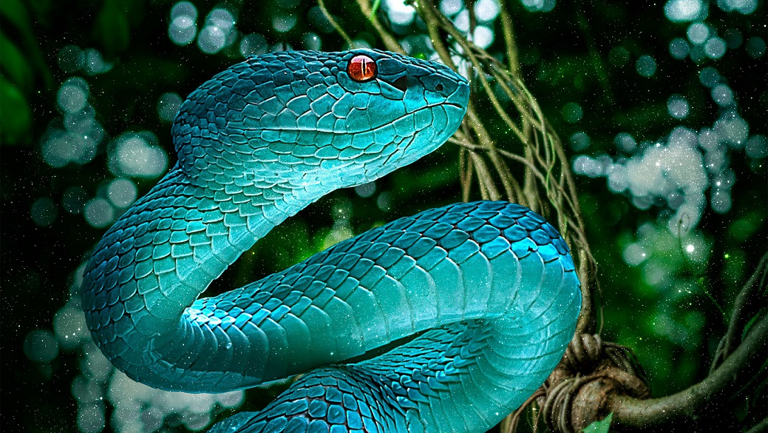 Stunning Snakes